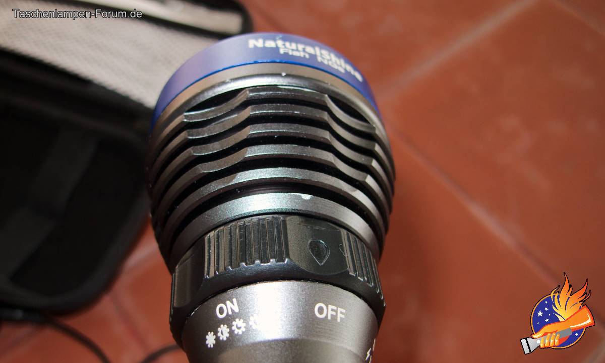 Tauchlampe-Naturalshine_2419.jpg