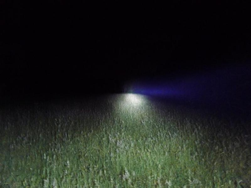 full