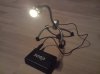 Dino Moppel 1.jpg