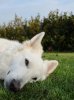 k-DSC_0850.jpg
