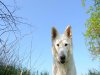k-DSC_0856.jpg