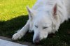 DSC_4191.jpg