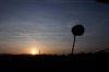 DSC_4338.jpg