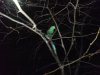 DSC00234.jpg