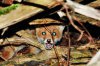 DSC_0014.jpg