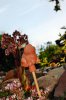 DSC_0053.jpg