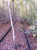 101_0455j.jpg