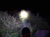 100_0957.gif
