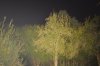 Tauchlampe_01_F5_M3_ISO800_85mm_30m.jpg