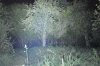 Dereelight DBS V3_SST-50_01_F5_M3_ISO800_85mm_30m_10.jpg