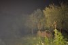 Tauchlampe_01_F5_M3_ISO800_85mm_60m.jpg