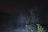 SutreFireP6_XP-G R5_01_F5_M3_ISO800_85mm_60m.jpg