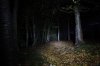 Beamshot0014.jpg