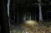 Beamshot0040.jpg