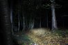 Beamshot0049.jpg