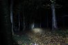 Beamshot0057.jpg