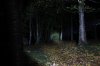 Beamshot0063.jpg
