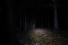 Beamshot0069.jpg