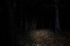 Beamshot0073.jpg