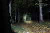 Beamshot0118.jpg