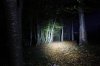 Beamshot0120.jpg