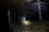 Beamshot0142.jpg