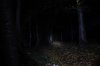 Beamshot0148.jpg