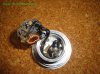 DSC04207.jpg