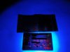 DSC04376.jpg