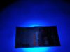 DSC04377.jpg