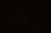 1_cree_Q5_minizoom.JPG