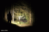 Loc1_DT70.gif