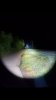 Screenshot_20190513-125846_Gallery.jpg