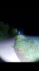 Screenshot_20190513-125853_Gallery.jpg