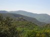 IMG_5127.JPG