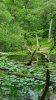 20190604_170637.jpg