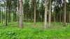 20190606_155640.jpg