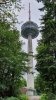 20190606_161950.jpg