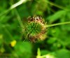 IMG_20190616_104904.jpg