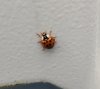 IMG_20190616_135142.jpg