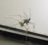 IMG_20190623_233544.jpg