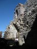 IMG_1986.JPG