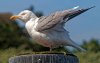 DSC05805 Ende.jpg
