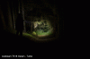 _Loc1_gesamt.gif _Loc1_gesamt.gif