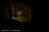 Loc1_04_Armytek Prime C1 Pro Warm Light.JPG Loc1_04_Armytek Prime C1 Pro Warm Light.JPG