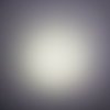 20190813_220228.jpg