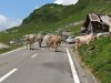 IMG_20190718_123839048.jpg