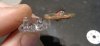 DSC03576.JPG