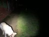 IMG_1105-min.jpeg