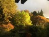 Garten.JPG